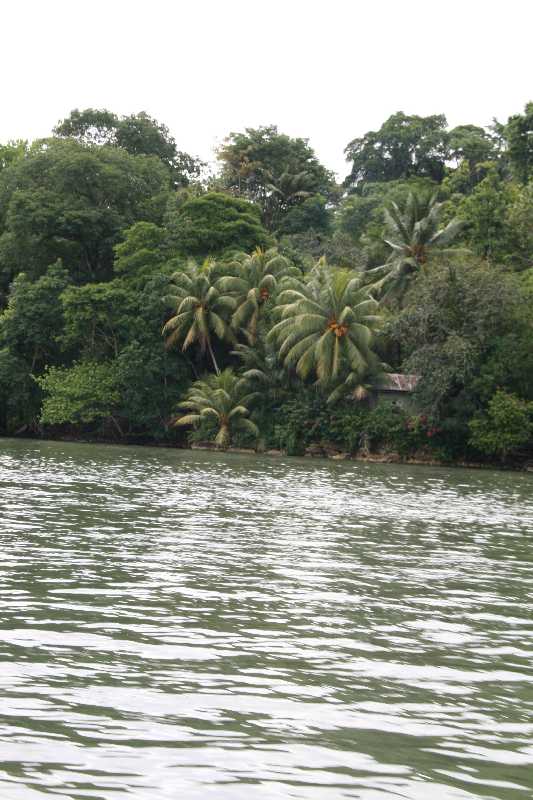 Mexico & Guatemala 2010 - 0978